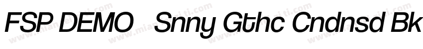 FSP DEMO   Snny Gthc Cndnsd Bk Regu字体转换